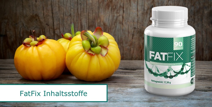 FatFix Inhaltsstoffe Kapseln Einnahme Dosierung